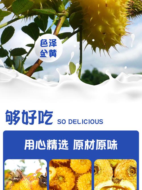 图文详情无食品添加剂180天保质期置于阴凉干燥处,低温储藏方法刺梨